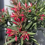 Appartamento Bueschem Wohlfuehlparadies Lindlar