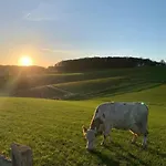Bueschem Wohlfuehlparadies *