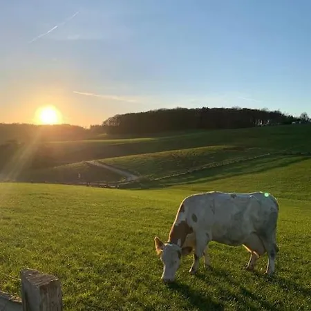 Bueschem Wohlfuehlparadies *
