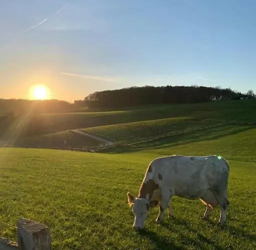 Bueschem Wohlfuehlparadies *