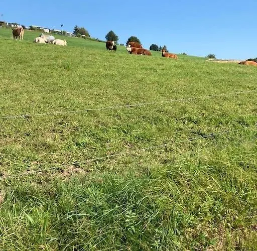 公寓 Bueschem Wohlfuehlparadies 林德拉